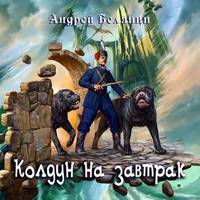 Андрей Белянин. Колдун на завтрак