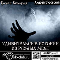 . Удивительные истории из разных мест. Книга 2