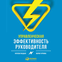 . Управленческая эффективность руководителя