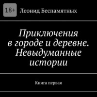 Леонид Викторович Беспамятных. Приключения в городе и деревне. Невыдуманные истории. Книга первая
