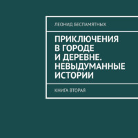. Приключения в городе и деревне. Невыдуманные истории. Книга вторая