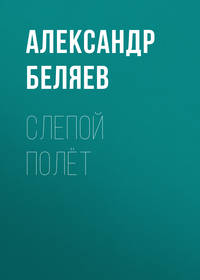 . Слепой полёт