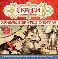 Группа авторов. Сказки американских писателей. Храбрый Братец Опоссум