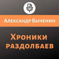 . Хроники раздолбаев