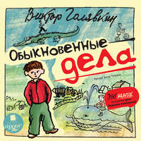. Обыкновенные дела