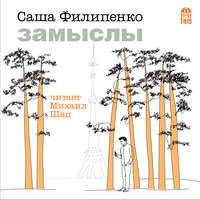 . Замыслы