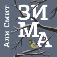 . Зима