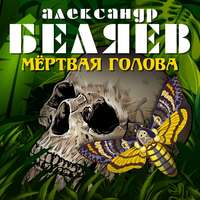 . Мёртвая голова