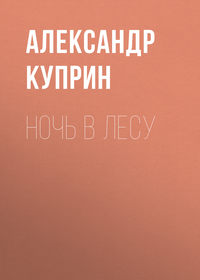. Ночь в лесу