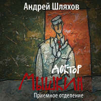 Андрей Шляхов. Доктор Мышкин. Приемное отделение