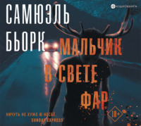 . Мальчик в свете фар