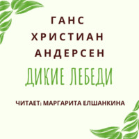 . Дикие лебеди