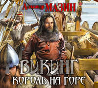 Александр Мазин. Король на горе