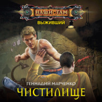 . Выживший. Чистилище