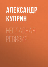 . Негласная ревизия