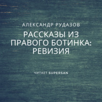 . Ревизия