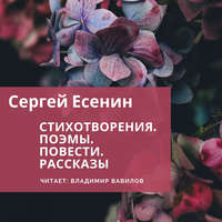 . Стихотворения. Поэмы. Повести. Рассказы