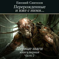 Евгений Синтезов. Перерожденные и иже с ними… Первые шаги. Книга первая. Часть вторая