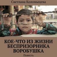 . Кое-что из жизни беспризорника Воробушка. Повесть