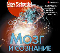 Сборник. Мозг и сознание. Разгадка величайшей тайны человеческого мозга