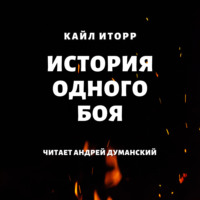 . История одного боя