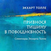 . Привнося тишину в повседневность
