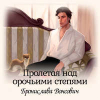 . Пролетая над орочьими степями