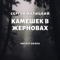 . Камешек в жерновах