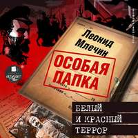 . Белый и красный террор