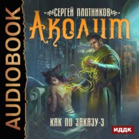 Сергей Плотников. Аколит