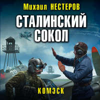 . Сталинский сокол. Комэск