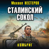 . Сталинский сокол. Комбриг