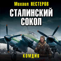 . Сталинский сокол. Комдив