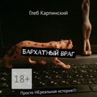 . Бархатный враг. Просто НЕреальная история!!!