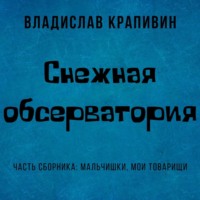. Снежная обсерватория