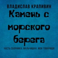 . Камень с морского берега