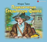 . Приключения Гекльберри Финна