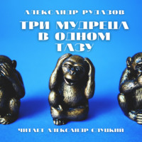 Александр Рудазов. Три мудреца в одном тазу