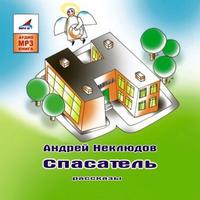 . Спасатель