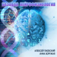 Алексей Паевский. Базовая нейрофизиология (Цикл из 29 лекций)
