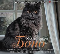 . Боно. Удивительная история спасенного кота, вдохновившего общество