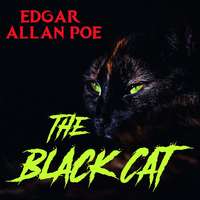 . The Black Cat