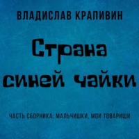 Владислав Крапивин. Страна Синей Чайки