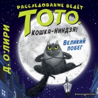 . Великий побег