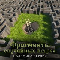 . Фрагменты случайных встреч (сборник)