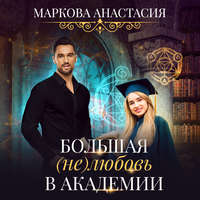 . Большая (не)любовь в академии