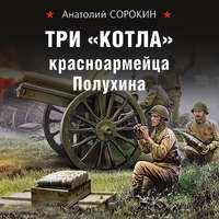 . Три «котла» красноармейца Полухина