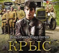 Владимир Поселягин. Крыс