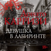 Донато Карризи. Девушка в лабиринте