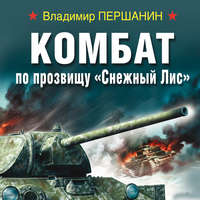 . Комбат по прозвищу «Снежный Лис»